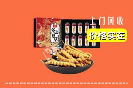 大兴安岭加格达奇区回收冬虫夏草